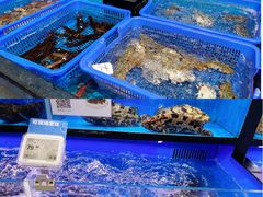 -盒马鲜生(曜一城店)