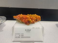 -湖南省地质博物馆