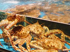 -徐记海鲜(南油永新汇店)