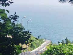 -星海湾跨海大桥