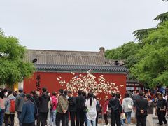 -华清宫景区