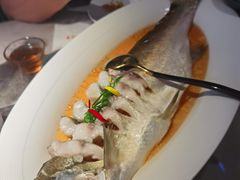 -醉庐·新上海菜(南京西路店)