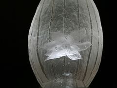 -上海琉璃艺术博物馆