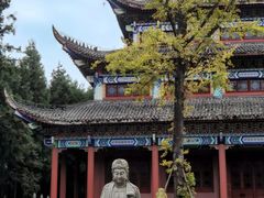 -武陵山森林公园