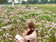 -汉长安城未央宫国家考古遗址公园