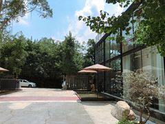 -桉树林A coffee 森林餐厅(三圣乡店)