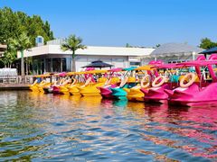 -大兴滨河森林公园