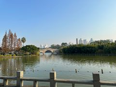 -江心屿景区