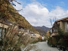 -牛背梁国家森林公园
