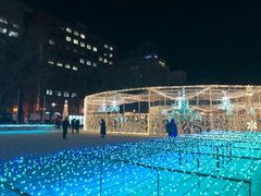 -大通公园