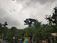 -苏州乐园森林水世界