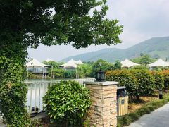 -帐篷客·溪龙茶谷度假酒店