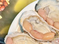 -花苑美食横琴生蚝火锅(拱北粤华路店)