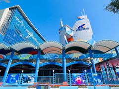 -海合安青岛极地海洋公园
