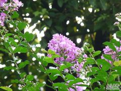 -苏州河梦清园环保主题公园