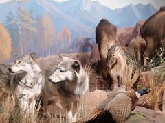 -陕西自然博物馆