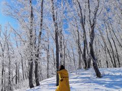 -中旅松花湖滑雪场
