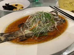 -上海金桥红枫万豪酒店-万豪中餐厅