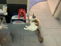 -零纪元VR体验馆·桌游(黄浦店)