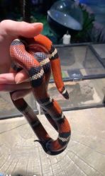 -酷嗒动物文化乐园(cutezoo西溪乐天城店)