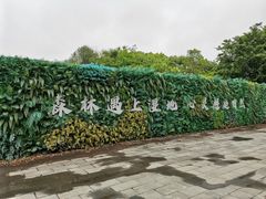 -苏州太湖国家湿地公园