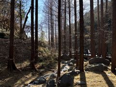 -国家植物园南园