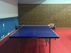 -大凤凰乒乓球馆