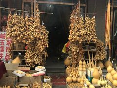 -中环花鸟鱼虫市场