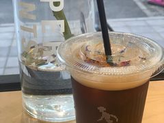 茉莉乌梅冷萃-常识咖啡common sense(春熙路店)
