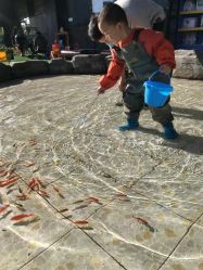 -可可天空农场(中大店)