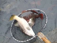 -海上驿站渔家菜馆