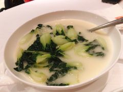 白菜仔-东富酒家(龙湖西溪天街店)