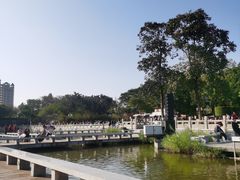 -顺峰山公园