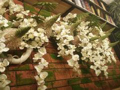 -盒悦高端盒饭(中海国际中心店)