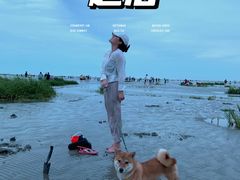 -奉贤海滩