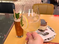 接骨木气泡酒-BOTTEGA意库(中骏世界城店)