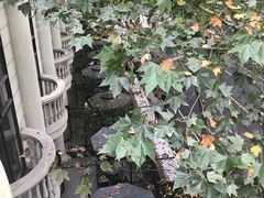-杭州西湖桔子水晶酒店