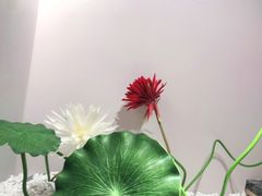 -成都梵高星空艺术馆(春熙路旗舰店)
