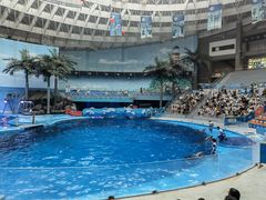 -海合安成都极地海洋公园