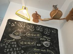-Anne猫窝咖啡屋