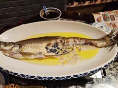 鸡汁白鱼-南京大牌档(崇文门国瑞店)
