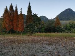 -贵阳市花溪国家城市湿地公园