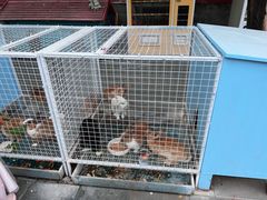-有喜胶东小馆(超极合生汇太申祥和店)
