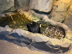 -酷嗒动物文化乐园(cutezoo西溪乐天城店)