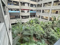 -黑龙江中医药大学附属第一医院