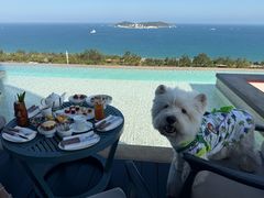 -瑰丽酒店·海吧·天际下午茶·现场DJ·天台酒吧