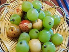 -欢乐蟹庄·精品农家乐(阳澄湖莲花岛店)