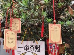 -东山雕花楼