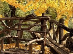 -无染寺