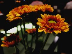 -IL Forno 意坊·意大利餐厅(温州万象城店)